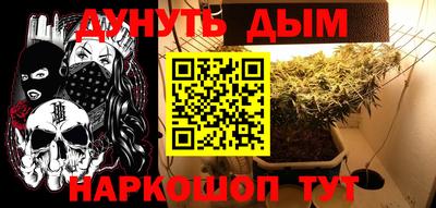 сатива Лесосибирск