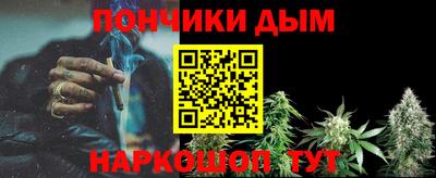 сатива Лесосибирск