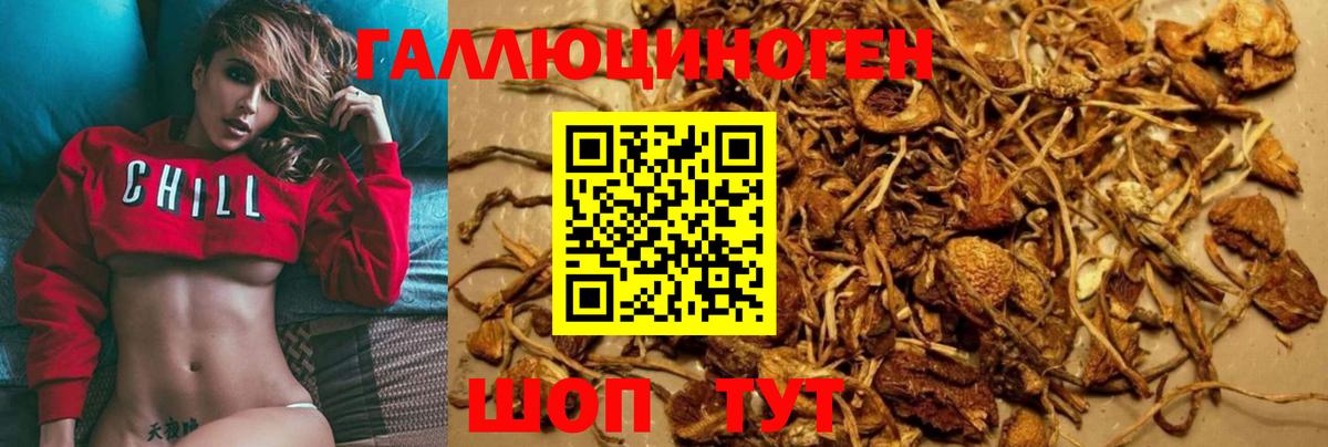 Галлюциногенные грибы MAGIC MUSHROOMS Екатеринбург