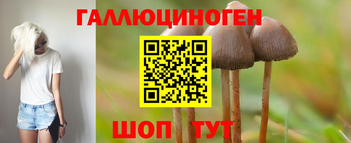 Псилоцибиновые грибы Psilocybe  Галлюциногенные грибы Psilocybine cubensis  Вход с VPN  Екатеринбург 